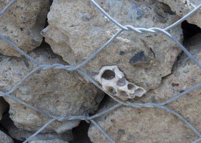 17-Mile-Rocks-Park-gabion-wall_ground-04